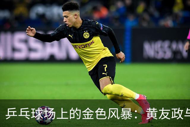 乒乓球场上的金色风暴：黄友政与林诗栋的夺冠之路